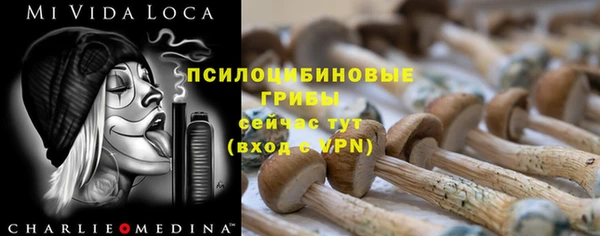 круглые Аркадак