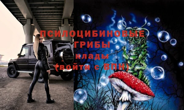 круглые Аркадак
