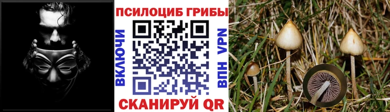 Псилоцибиновые грибы мухоморы  Советская Гавань 